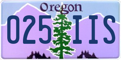 OR license plate 025IIS