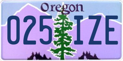 OR license plate 025IZE