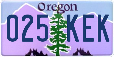OR license plate 025KEK