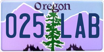 OR license plate 025LAB