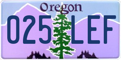 OR license plate 025LEF
