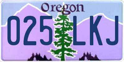 OR license plate 025LKJ