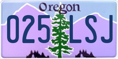 OR license plate 025LSJ