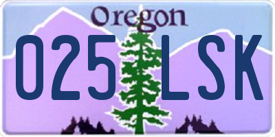 OR license plate 025LSK