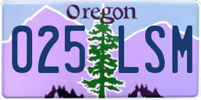 OR license plate 025LSM