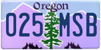 OR license plate 025MSB