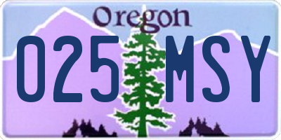 OR license plate 025MSY