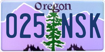 OR license plate 025NSK