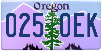 OR license plate 025OEK