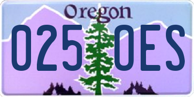 OR license plate 025OES