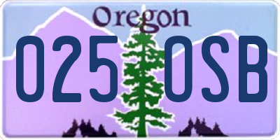 OR license plate 025OSB