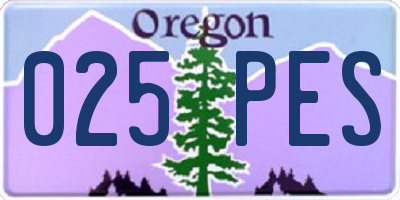 OR license plate 025PES
