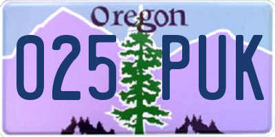 OR license plate 025PUK