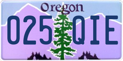 OR license plate 025QIE