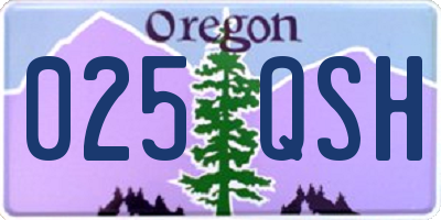 OR license plate 025QSH