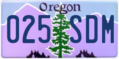 OR license plate 025SDM