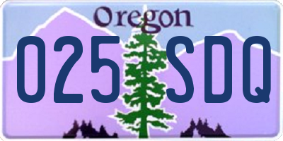 OR license plate 025SDQ