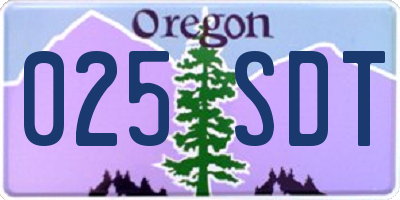 OR license plate 025SDT