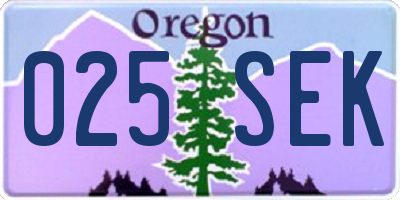 OR license plate 025SEK