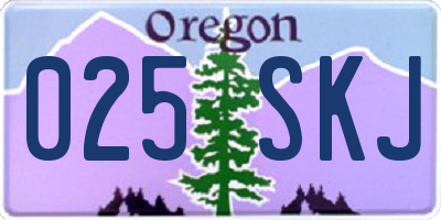 OR license plate 025SKJ