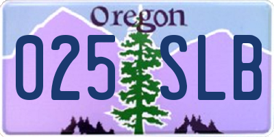 OR license plate 025SLB
