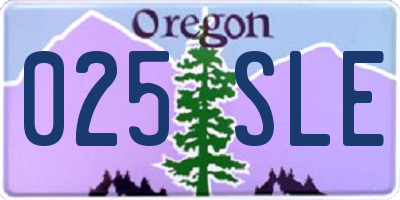 OR license plate 025SLE
