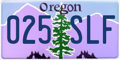 OR license plate 025SLF