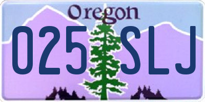 OR license plate 025SLJ
