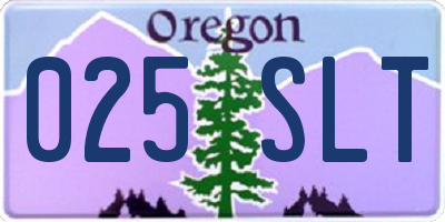 OR license plate 025SLT