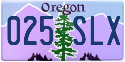 OR license plate 025SLX
