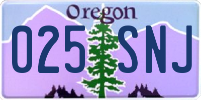 OR license plate 025SNJ