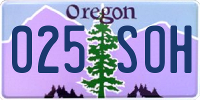 OR license plate 025SOH