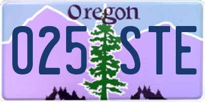 OR license plate 025STE