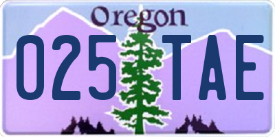 OR license plate 025TAE