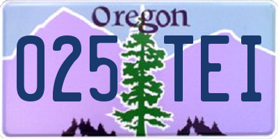 OR license plate 025TEI