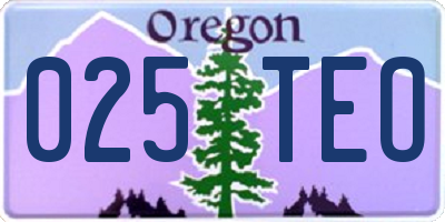 OR license plate 025TEO
