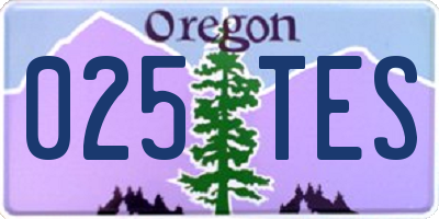 OR license plate 025TES