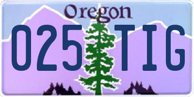 OR license plate 025TIG