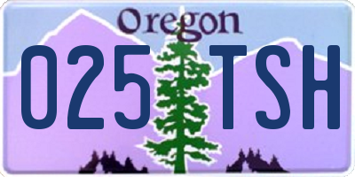 OR license plate 025TSH