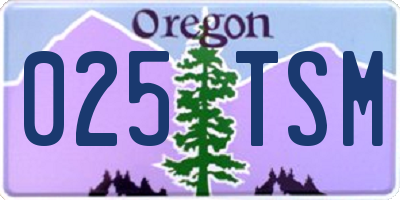 OR license plate 025TSM