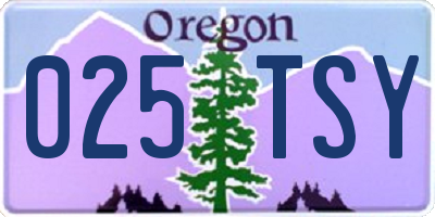 OR license plate 025TSY