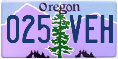 OR license plate 025VEH