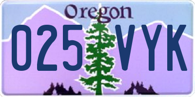 OR license plate 025VYK