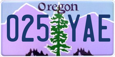 OR license plate 025YAE