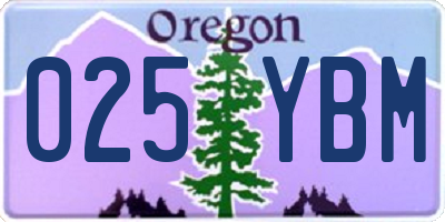 OR license plate 025YBM