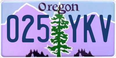 OR license plate 025YKV