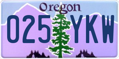 OR license plate 025YKW