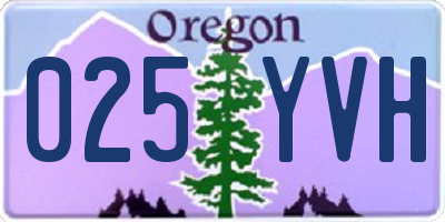 OR license plate 025YVH