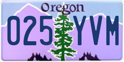 OR license plate 025YVM