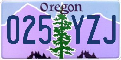 OR license plate 025YZJ